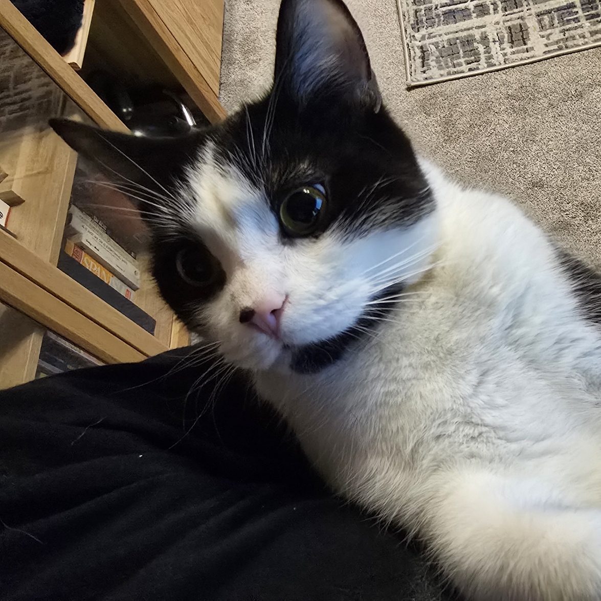 Day 3: Sleep is overrated&nbsp;anyway