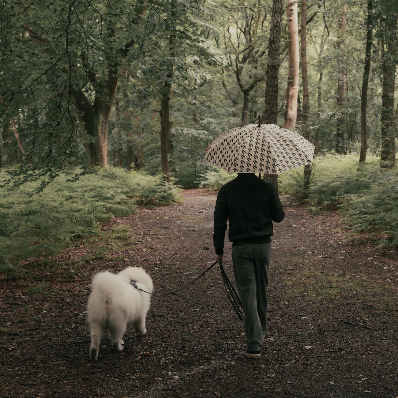 Day 1: The beginning of the&nbsp;routine